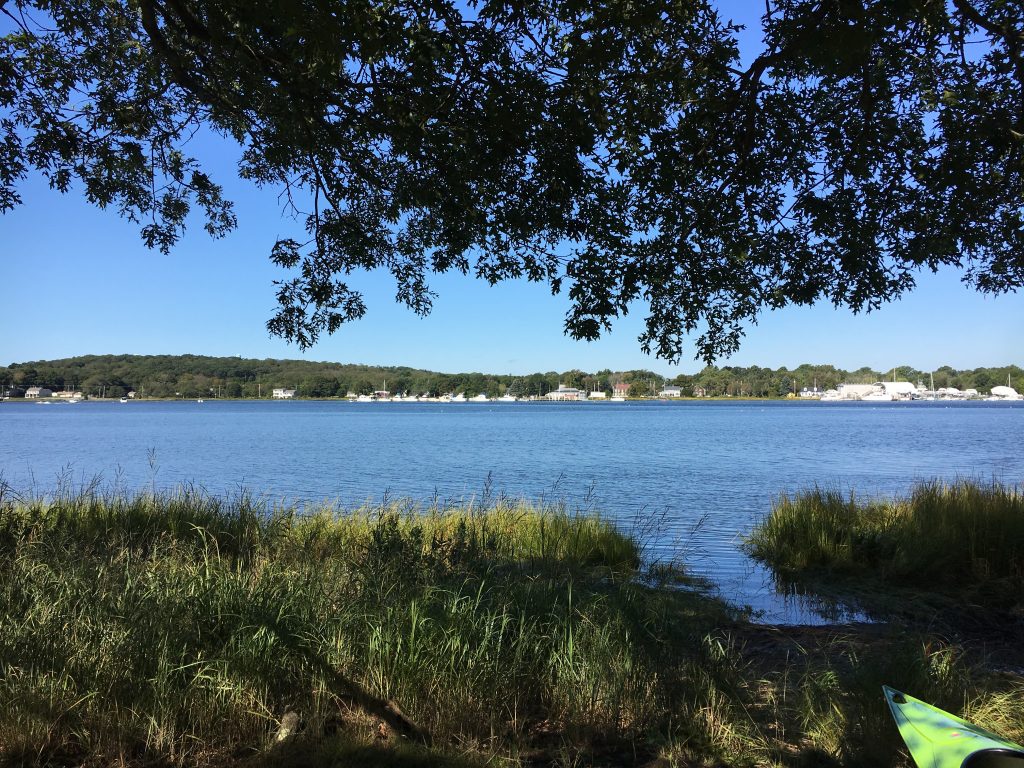 Green Infrastructure for a Healthy and Resilient Taunton River ...